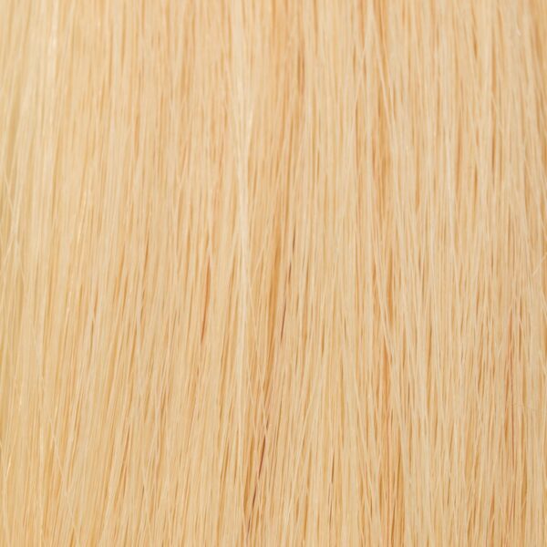 Clip In Extensions Haarteil EasyClips 50 cm L (23 cm) 24 sattes goldblond