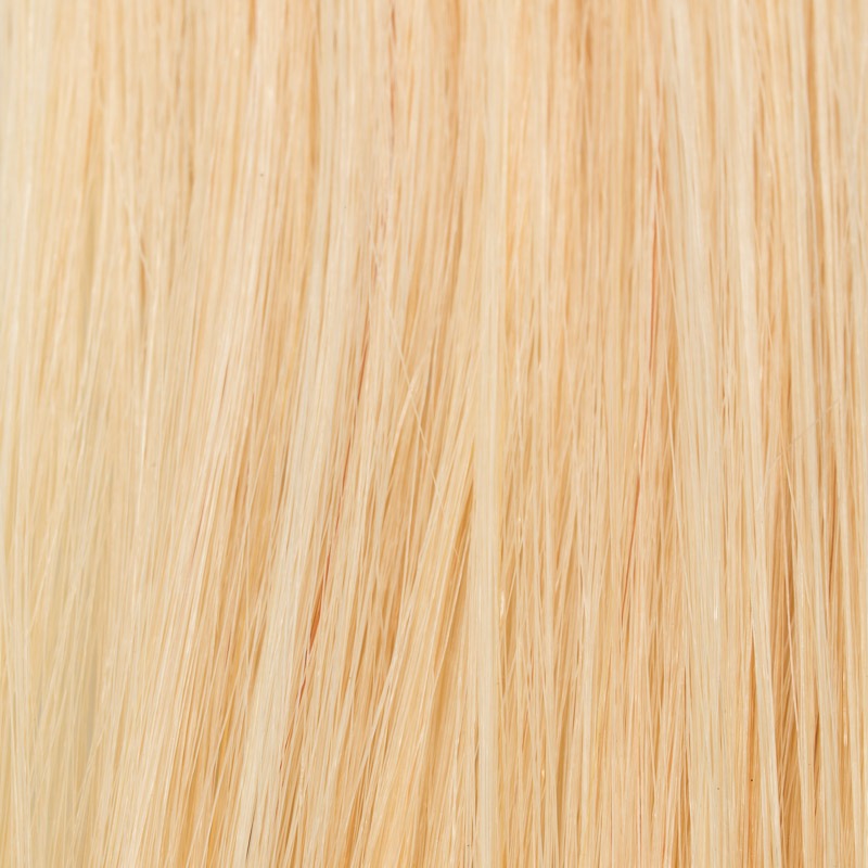 Clip in extensions hair piece EasyClips 60 cm L (23 cm) 22 golden light blonde