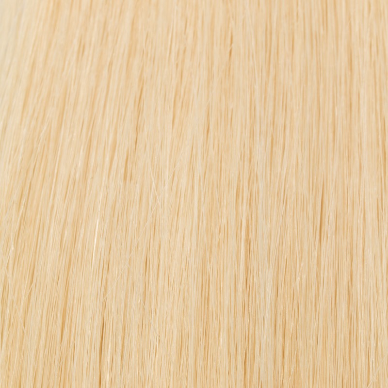 Clip in extensions hairpiece EasyClips 60 cm L (23 cm) 60 platinum blonde