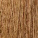 Farbe 10-aschbraun